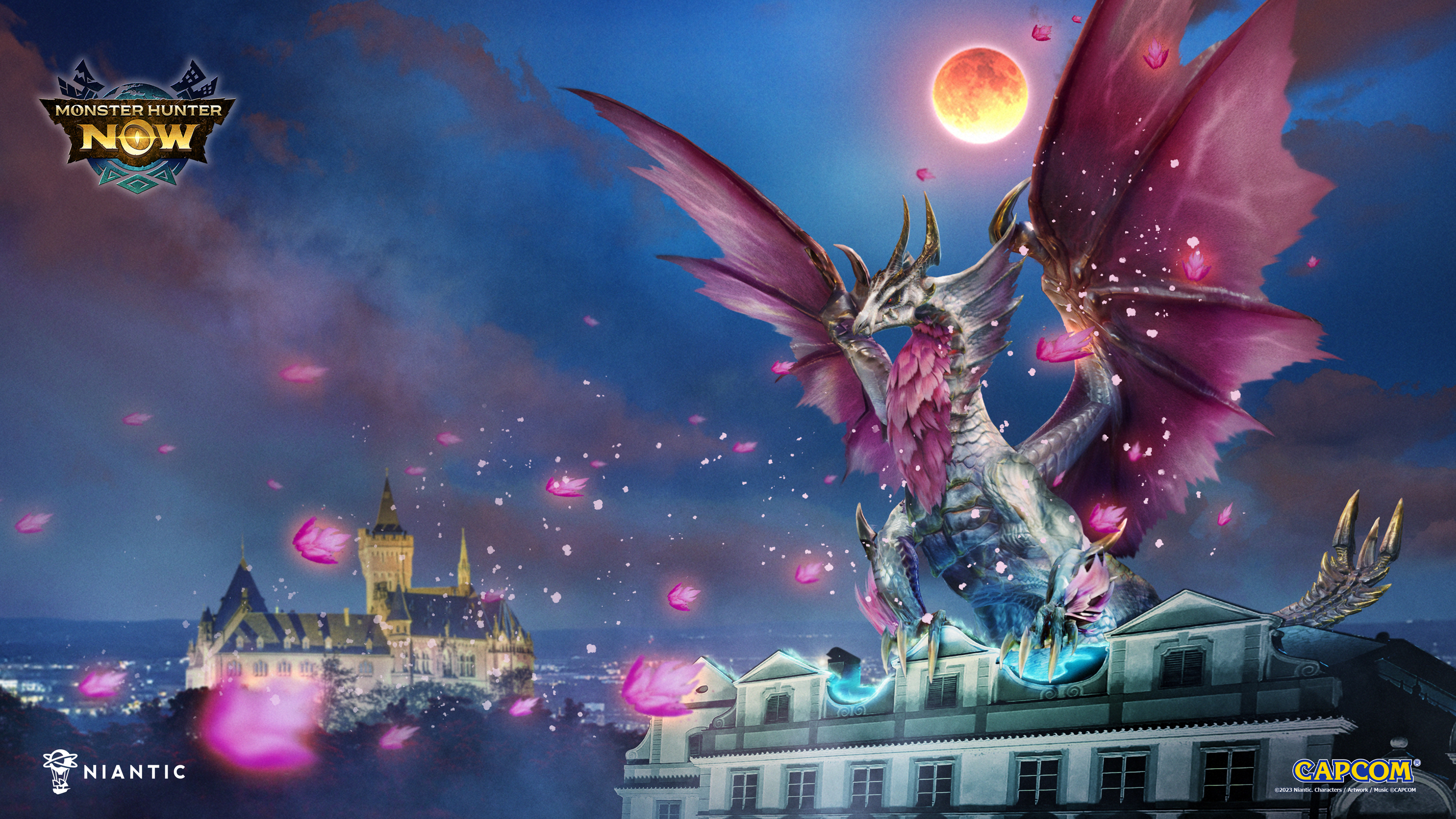 ꡼ No.006 | ֥󥹥ϥ󥿡Nowס٥ȡ֥ϥ2025פ1120˥ȡζ롦ʤо줷ɶ郎