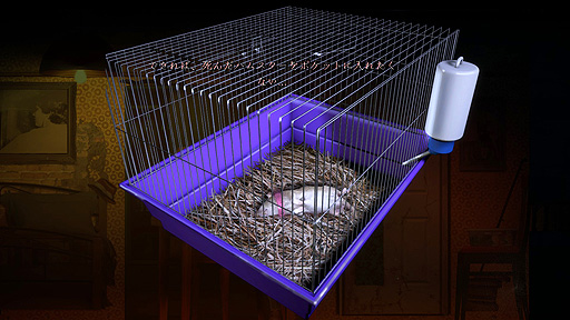 ꡼ No.018 | ꤬ ܸ첽οۥ顼ADVΤɺŤʶ̥ϡ;̿鷺ʽĩBurnhouse Laneפ򤴾Ҳ