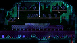 ꡼ No.004 | ANIMAL WELL