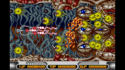 ꡼ No.005 | ॳ쥯Vol.1