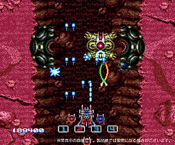 ꡼ No.002 | ॳ쥯Vol.1