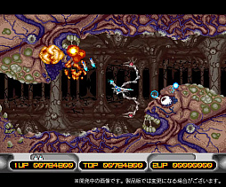 ꡼ No.003 | ॳ쥯Vol.1