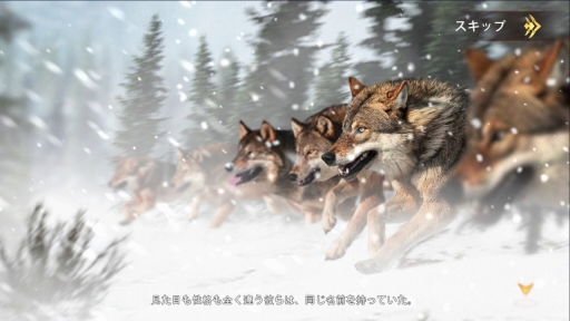 ꡼ No.003 | ߤΨβܻؤ֥եࡧ磻ɡ󥰥פνפΨ褯ʤ뤿ΩľϤPR