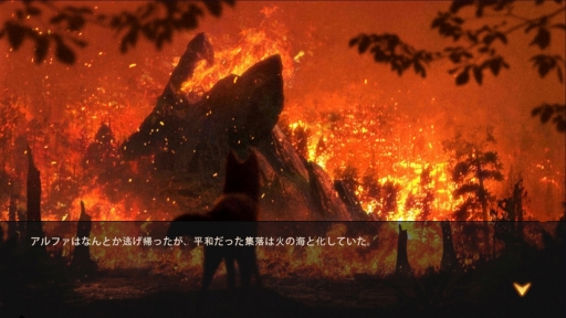 ꡼ No.005 | ߤΨβܻؤ֥եࡧ磻ɡ󥰥פνפΨ褯ʤ뤿ΩľϤPR