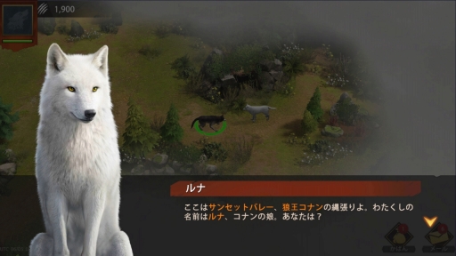 ꡼ No.006 | ߤΨβܻؤ֥եࡧ磻ɡ󥰥פνפΨ褯ʤ뤿ΩľϤPR