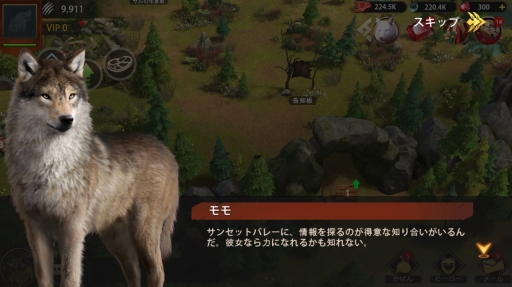 ꡼ No.008 | ߤΨβܻؤ֥եࡧ磻ɡ󥰥פνפΨ褯ʤ뤿ΩľϤPR