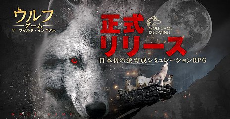 ꡼ No.002 | ϵƤĥ褦֥եࡧ磻ɡ󥰥פӥ