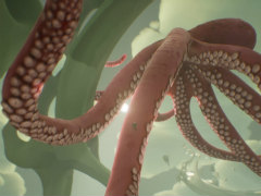 ���祿����إӤ��ؤ�褸�Ф롣�ե饯���빽¤��ռ�������������󥢥ɥ٥���㡼��Chasing the Unseen�ץǥ��Ǥ��ۿ���