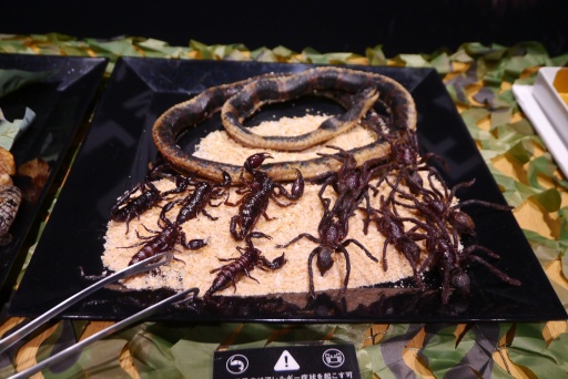 ꡼ No.022Υͥ / Υץ쥤ݡϡMETAL GEAR SOLID : SNAKE EATERפեåȿʥץ쥤ˤꡤ꡼λϤޤ