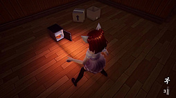 Neko Secret Homecoming