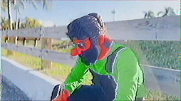 ꡼ No.005Υͥ / ҥǥСΰ䥸˽졣ܡɥХ󥹤˥󥹥ѥ줿ȤANTONBLASTפθǤ֤ʤ꡼