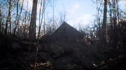 ꡼ No.005 | ХХۥ顼ΡPneumataסǿˡƬοͷ꡼㡼͸ɤ