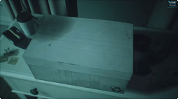 ꡼ No.004 | ХХۥ顼PneumataפΥץ쥤ȥ쥤顼ˡ2024ǯƤȯ