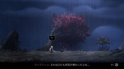 Nocturnal (ノクターナル)