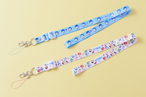 ꡼ No.006 | 𾭻ѤΥ˥åо졣12ΡSONICFRIENDSåפܸ426ȯ