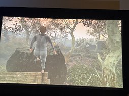 画像ギャラリー No.007のサムネイル画像 / 「Baby Steps」の“他者をコントロールしない”ゲームデザイン。ゴールではなく“歩くこと”そのものが本質になる山歩きゲーム［GDC 2026］