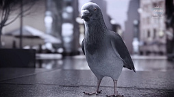 画像ギャラリー No.002のサムネイル画像 / 鳩が首を振っているのは音楽でノリノリだからって知ってた? バトロワ×リズムACT×鳩のゲーム「Headbangers: Rhythm Royale」が発表に