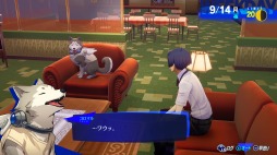 ꡼ No.002 | ֥ڥ륽3 ɡץ֥饸륲ॷ硼2023ϤS.E.E.S.С餹λߤҲ