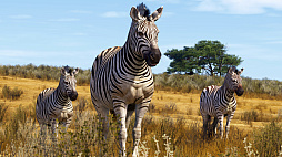 ꡼ No.014Υͥ / Υ󥿥ӥ塼ϡMicrosoft Flight Simulator 2024פϥɥѡƥMODȯԤȶ˵ʥƥۡ衼˥塼ޥäʹ