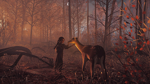 ꡼ No.003 | ­դǰưե󥿥REKAס꡼ǤΥ꡼2024ǯ2Ⱦ˷