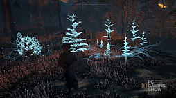 ꡼ No.004 | ⤯Ȥ褹REKAס2024ǯ8˥꡼