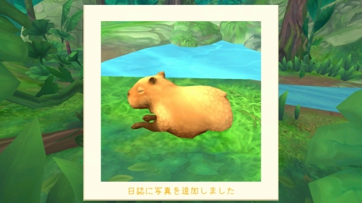 ꡼ No.009 | 襤ԥХ顪᤺餷礦硪֥եåפǡޥǮӱӤǤι