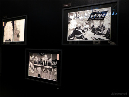 ꡼ No.019 | ŷɥԥɤϴɬꡪĥ٥󥸥㡼 θŸ Ǹץǥեȥݡ