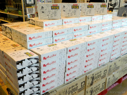 ꡼ No.030 | ŷɥԥɤϴɬꡪĥ٥󥸥㡼 θŸ Ǹץǥեȥݡ