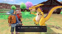 ꡼ No.003 | ֥ɥ饴󥯥ȥ󥹥3סDQIVפΥʥȡ꡼ȤʤȾȾβҥԥʪ䥭ѡ󤿤Ҳ