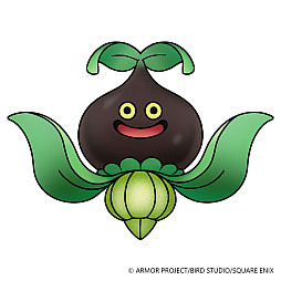 ꡼ No.013 | ֥ɥ饴󥯥ȥ󥹥3²βҤȥդιס쥢ʥ󥹥߽Ф̤۹ֻ۹פȡνפˤĤƾҲ