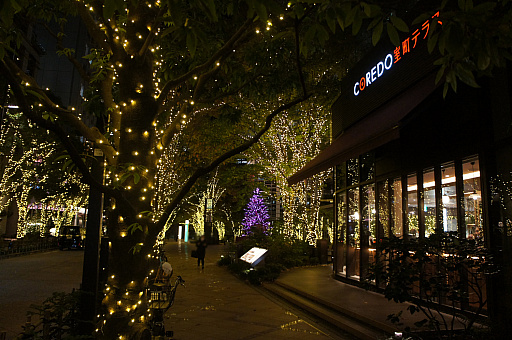 ꡼ No.020Υͥ / ܶγ˥󥹥줿!?֥ɥ饴󥯥ȥ󥹥3  ܶ 󥹥˥Хݡ