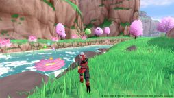 ꡼ No.003 | ɥ饴󥯥ȥ󥹥3²βҤȥդι