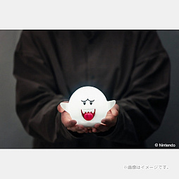 ꡼ No.009Υͥ / ֥륤פ˹Ҥ̤ߥݡȡ֥ƥ쥵פΥ롼饤Ȥ°åܤҤ625ȯ