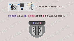 ꡼ No.017 | Υץ쥤ݡϤ!?Joy-ConΥͷ֡Ķɤ ᥤ  ꥪפϡ塼ʥޥưǳڤ࿷ФΥץब