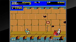 ���������ɥ��������֥� COP 01