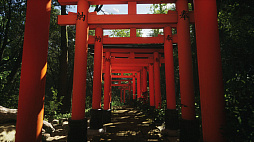 ꡼ No.001 | Lushfoil Photography Sim