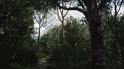 ꡼ No.002 | Lushfoil Photography Sim