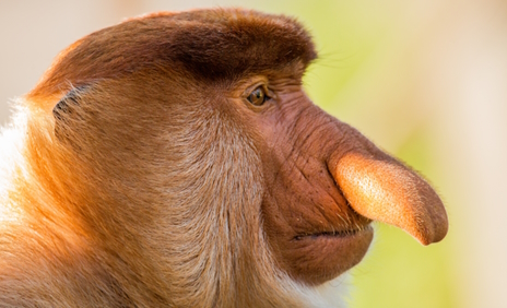 ���������꡼ No.003�Υ���ͥ������ / ɡ���ǥ����ۤɥ�Ƥ�ƥ󥰥��뤵��Ρ�Trepang 2�ץ�ӥ塼������������Steam����