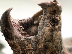 �ʤ�Ǥ⤫�ߺդ���˥��ᤵ��Ρ�My Friendly Neighborhood�ץ�ӥ塼������������Steam����