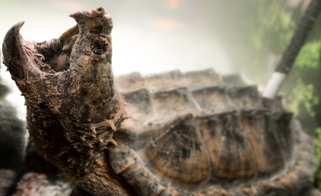 ���������꡼ No.002�Υ���ͥ������ / �ʤ�Ǥ⤫�ߺդ���˥��ᤵ��Ρ�My Friendly Neighborhood�ץ�ӥ塼������������Steam����