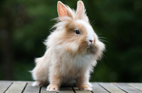 画像ギャラリー No.001のサムネイル画像 / ライオンヘッド(うさぎ)さんの「8番出口」レビュー。えーあい!Steam広場