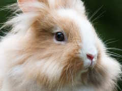 �饤����إåɡʤ������ˤ���Ρ�8�ֽи��ץ�ӥ塼������������Steam����