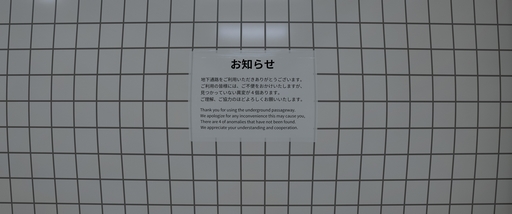 画像ギャラリー No.003のサムネイル画像 / ライオンヘッド(うさぎ)さんの「8番出口」レビュー。えーあい!Steam広場