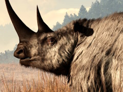 ɹ�ϴ������������֥���������Ρ�Wrestling Empire�ץ�ӥ塼������������Steam����