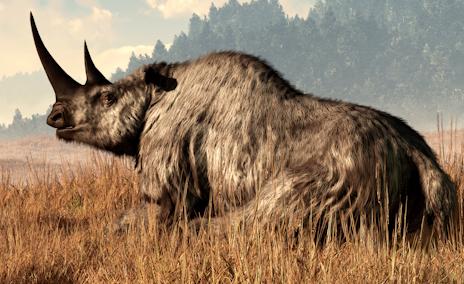 画像ギャラリー No.012のサムネイル画像 / 氷河期を生きたケブカサイさんの「Wrestling Empire」レビュー。えーあい!Steam広場