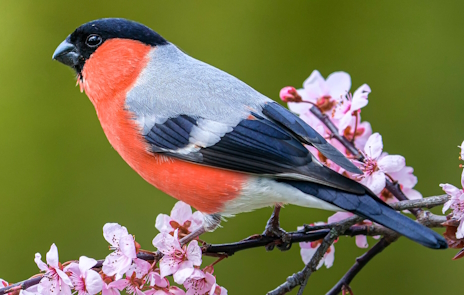 ���������꡼ No.011�Υ���ͥ������ / �Ĥ�������ū�ߤ����ʥ�������Ρ�Supermarket Simulator�ץ�ӥ塼������������Steam����