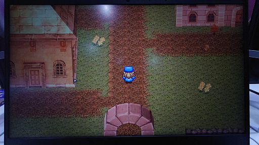 ���������꡼ No.026�Υ���ͥ������ / ���������ԲĲ���θ��ι��塣��Dome-King Cabbage�פ�TGS�ǥץ쥤���Ƥߤ���TGS2024��