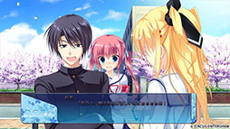 ꡼ No.007Υͥ / D.C.III P.S.III ץ饹ȡ꡼פθǤPS StoreMy Nintendo StoreǸ