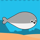 �ѥå�����