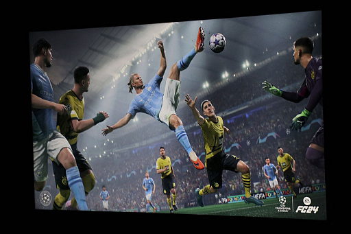 ꡼ No.006 | åɽ߷ ĤEA SPORTS FC24פΥ٥ȥݡȡ꡼Υ顼Pitch Greenɤޤ»